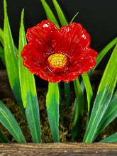 Load image into Gallery viewer, Flower, 1 Pc. - Large Hibiscus on 11” Wire Stem - Red