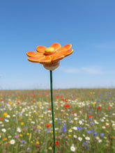 Load image into Gallery viewer, Flower, 1 Pc. - Small Marguerite Daisy on 8” Wire Stem - Orange
