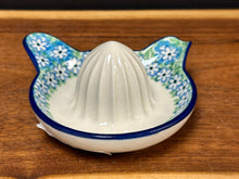 Load image into Gallery viewer, Juicer - Key Lime
