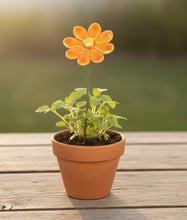 Load image into Gallery viewer, Flower, 1 Pc. - Small Marguerite Daisy on 8” Wire Stem - Orange
