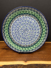 Load image into Gallery viewer, Plate, Dinner 10&quot; - Kiwi
