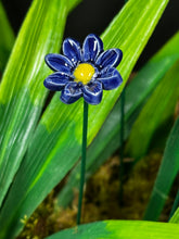 Load image into Gallery viewer, Flower, 1 Pc. - Mini Marguerite Daisy on 8” Wire Stem - Cobalt Blue

