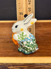 Load image into Gallery viewer, Mini Bunny Rabbit
