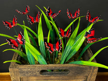 Load image into Gallery viewer, Butterfly on Wire Stem, Red
