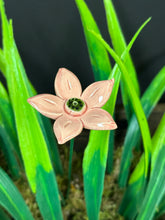 Load image into Gallery viewer, Flower, 1 Pc. - Edelweiss  / Star Flower on 8” Wire Stem - Light Pink
