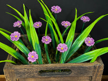Load image into Gallery viewer, Flower, 1 Pc. - Mini Primula on 8” Wire Stem - Purple
