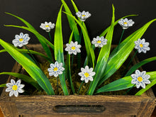 Load image into Gallery viewer, Flower, 1 Pc. - Mini Marguerite Daisy on 8” Wire Stem - Light Lavender
