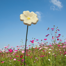 Load image into Gallery viewer, Flower, 1 Pc. - Mini Primula on 8” Wire Stem - White
