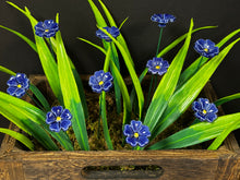 Load image into Gallery viewer, Flower, 1 Pc. - Mini Primula on 8” Wire Stem - Cobalt
