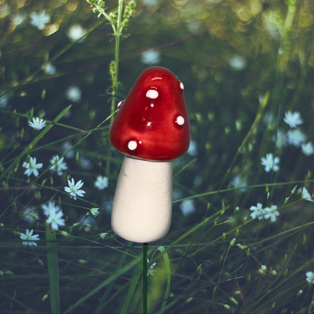 Mushroom, Small Round-Top on Wire Stem