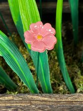Load image into Gallery viewer, Flower, 1 Pc. - Mini Primula on 8” Wire Stem - Pink
