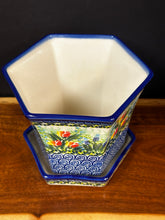 Load image into Gallery viewer, Plant Pot, Medium Kalich - Hawaiian Tulip &amp; Bee
