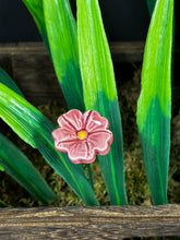 Load image into Gallery viewer, Flower, 1 Pc. - Mini Primula on 8” Wire Stem - Mauve
