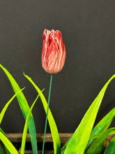 Load image into Gallery viewer, Flower, 1 Pc. - Tulip on 8” Wire Stem - Two-Toned Mauve
