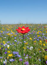 Load image into Gallery viewer, Flower, 1 Pc. - Small Marguerite Daisy on 8” Wire Stem - Red
