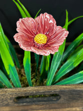 Load image into Gallery viewer, Flower, 1 Pc. - Large Hibiscus on 11” Wire Stem - Two-Toned Mauve
