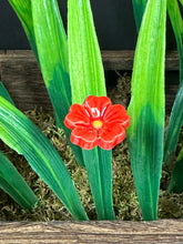 Load image into Gallery viewer, Flower, 1 Pc. - Mini Primula on 8” Wire Stem - Red
