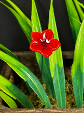 Load image into Gallery viewer, Flower, 1 Pc. - Small Mirabilis on 8” Wire Stem - Red
