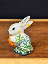 Load image into Gallery viewer, Mini Bunny Rabbit
