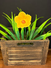 Load image into Gallery viewer, Flower, 1 Pc. - Large Hibiscus on 11” Wire Stem - Yellow
