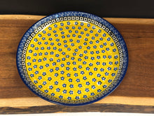Load image into Gallery viewer, Plate, Rimmed 9.25&quot; - Sunburst
