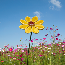 Load image into Gallery viewer, Flower, 1 Pc. - Small Marguerite Daisy on 8” Wire Stem - Yellow

