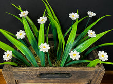 Load image into Gallery viewer, Flower, 1 Pc. - Mini Marguerite Daisy on 8” Wire Stem - White
