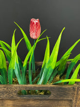 Load image into Gallery viewer, Flower, 1 Pc. - Tulip on 8” Wire Stem - Two-Toned Mauve
