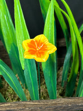 Load image into Gallery viewer, Flower, 1 Pc. - Small Mirabilis on 8” Wire Stem - Yellow
