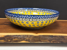 Load image into Gallery viewer, Bowl, Contemporary 9&quot; - Sunburst
