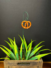 Load image into Gallery viewer, Plant stem - Pretzel Hanging on Wire Stem
