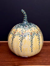 Load image into Gallery viewer, Pumpkin, Medium
