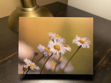 Load image into Gallery viewer, Greeting Card/Note Card by AMcKinley Photography - Daisies
