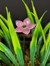 Load image into Gallery viewer, Flower, 1 Pc. - Edelweiss  / Star Flower on 8” Wire Stem - Purple
