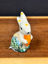 Load image into Gallery viewer, Mini Bunny Rabbit
