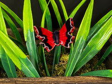 Load image into Gallery viewer, Butterfly on Wire Stem, Red
