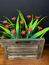 Load image into Gallery viewer, Flower, 1 Pc. - Mini Marguerite Daisy on 8” Wire Stem - Crimson Red
