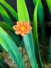 Load image into Gallery viewer, Flower, 1 Pc. - Mini Marguerite Daisy on 8” Wire Stem - Orange
