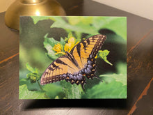 Load image into Gallery viewer, Greeting Card/Note Card by AMcKinley Photography - Tiger Swallowtail Butterfly
