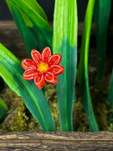 Load image into Gallery viewer, Flower, 1 Pc. - Mini Marguerite Daisy on 8” Wire Stem - Crimson Red
