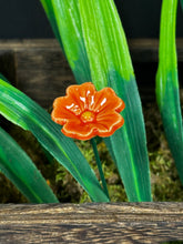Load image into Gallery viewer, Flower, 1 Pc. - Mini Primula on 8” Wire Stem - Orange
