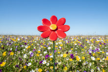 Load image into Gallery viewer, Flower, 1 Pc. - Small Marguerite Daisy on 8” Wire Stem - Red
