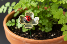 Load image into Gallery viewer, Flower Stem, 1 Pc. - Ladybug on a Shamrock on 8” Wire Stem
