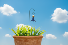 Load image into Gallery viewer, Fairy on Wire Stem - Cobalt Blue w/White Cap
