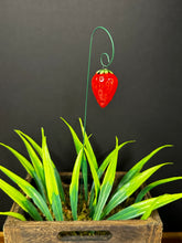 Load image into Gallery viewer, Plant stem - Strawberry Hanging on Wire Stem
