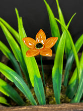Load image into Gallery viewer, Flower, 1 Pc. - Edelweiss  / Star Flower on 8” Wire Stem - Orange
