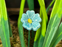 Load image into Gallery viewer, Flower, 1 Pc. - Mini Primula on 8” Wire Stem - Teal

