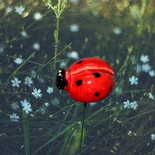 Load image into Gallery viewer, Ladybug on Wire Stem
