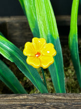 Load image into Gallery viewer, Flower, 1 Pc. - Mini Primula on 8” Wire Stem - Yellow
