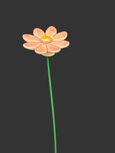 Load image into Gallery viewer, Flower, 1 Pc. - Small Marguerite Daisy on 8” Wire Stem - Pink
